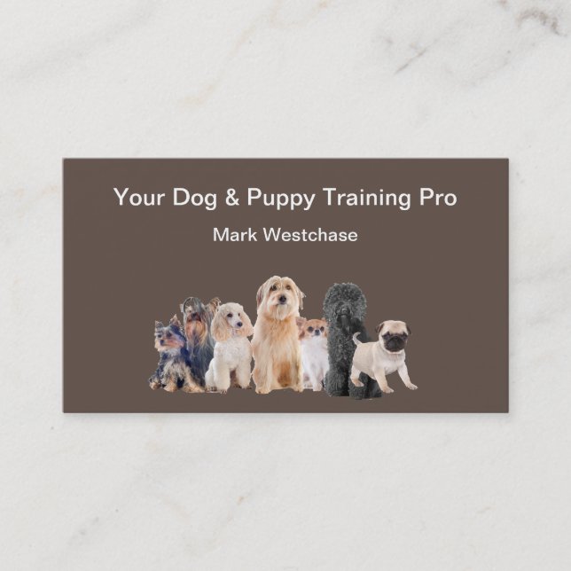 Cartes de visite de la formation de chien et de ch (Devant)