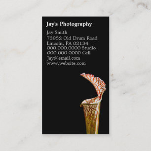 Cartes de visite de la photographie florale