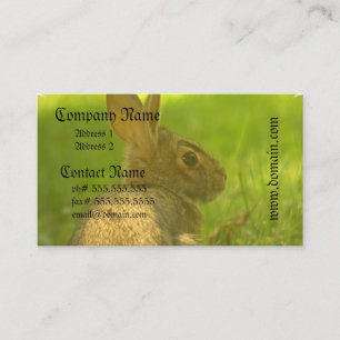 Cartes de visite de lapin