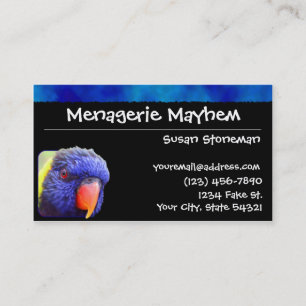Cartes de visite de Lorikeet d'arc-en-ciel de