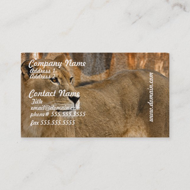 Cartes de visite de Madame Lioness (Devant)