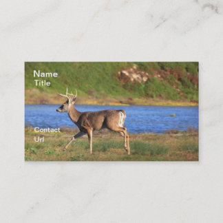Cartes de visite de mâle
