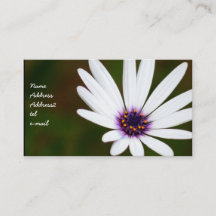 Cartes de visite de marguerite blanche