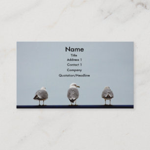 Cartes de visite de mouette