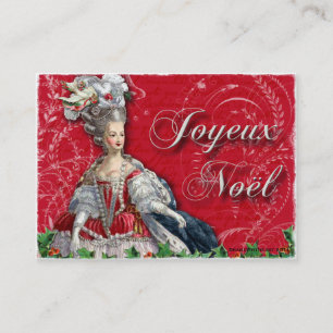 Cartes de visite de Noel de Noël de Marie