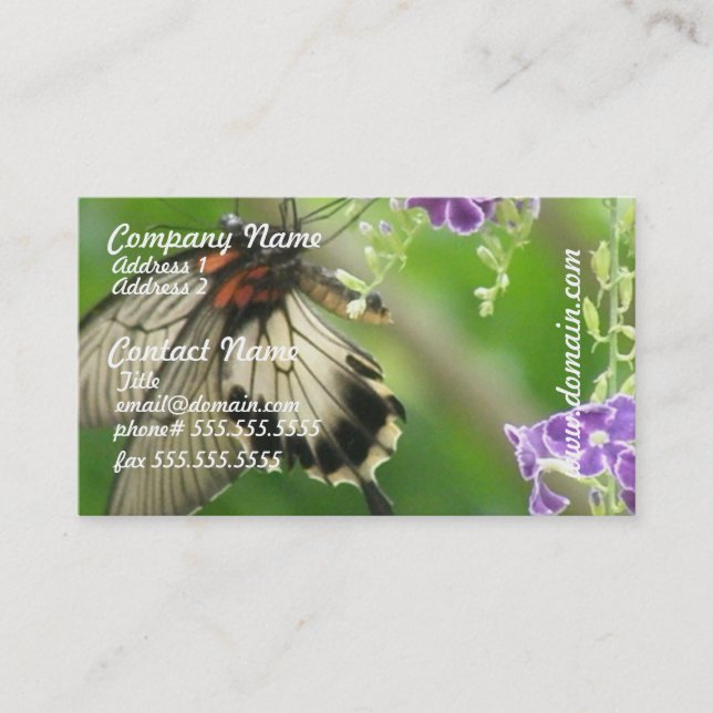 Cartes de visite de papillon de Swallowtal (Devant)