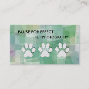 Cartes de visite de photographie d'animal familier