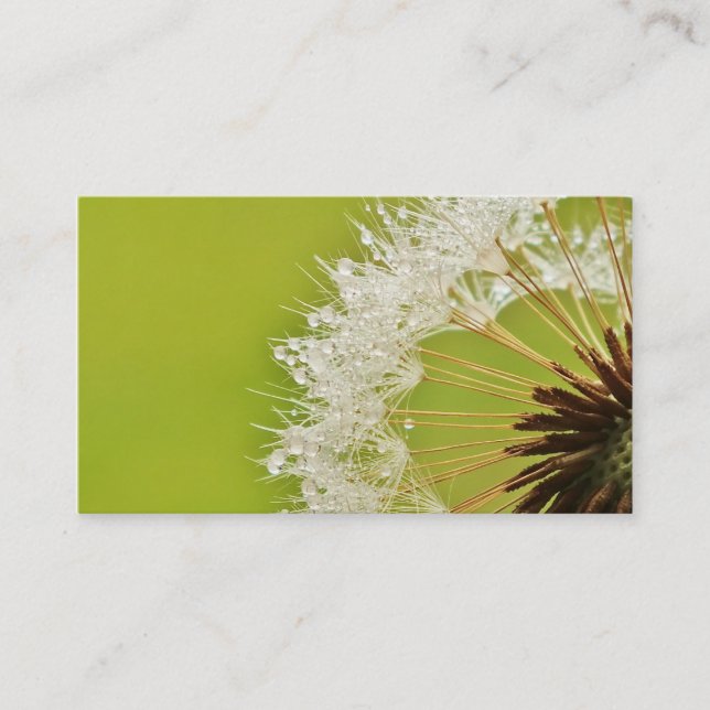 Cartes de visite de pissenlit (Devant)