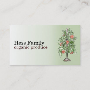 Cartes de visite de plante de tomate