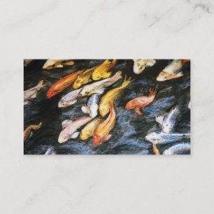 Cartes de visite de poissons de Koi