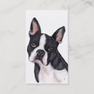 Cartes de visite de portrait de Boston Terrier