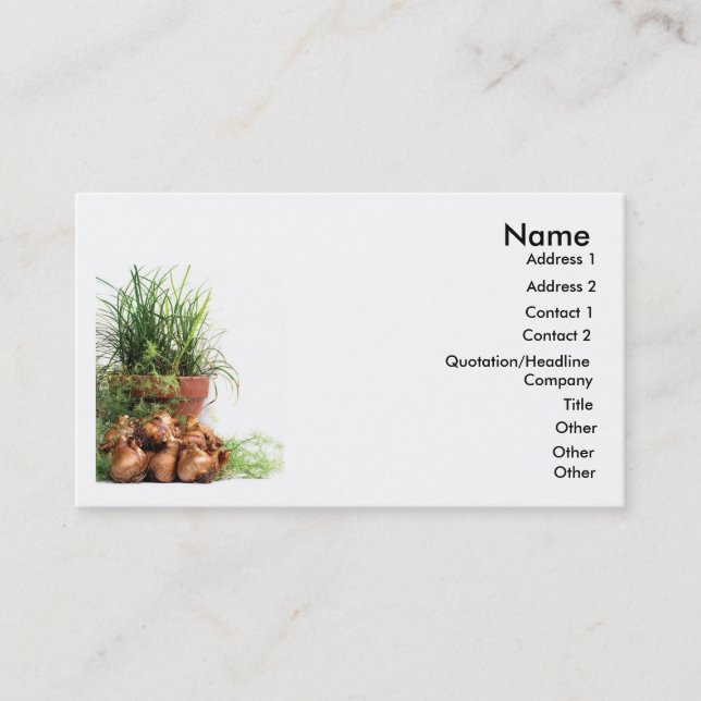 Cartes de visite de pots de fleur (Devant)