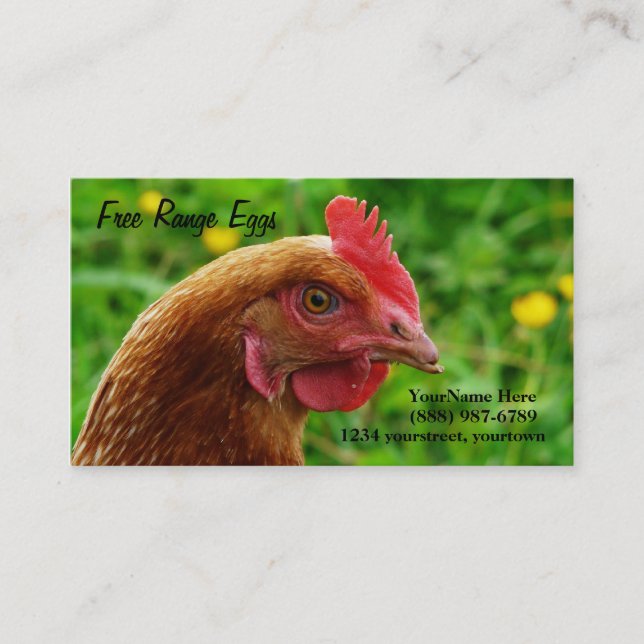 Cartes de visite de poule de rouge d'île de Rhode (Devant)