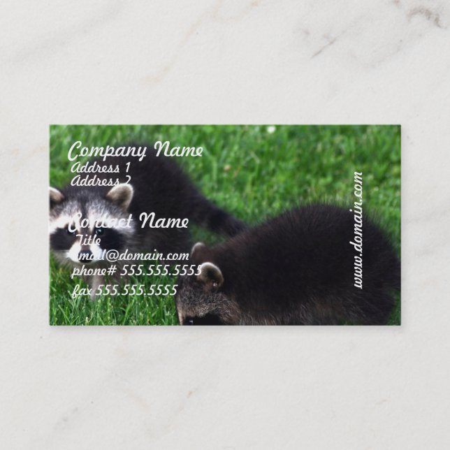 Cartes de visite de ratons laveurs de bébé (Devant)