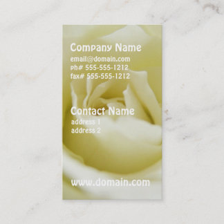 Cartes de visite de rose blanc