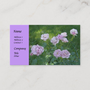 Cartes de visite de roses de haie magnifiques