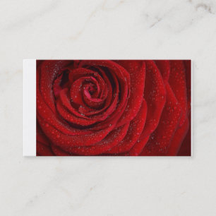 Cartes de visite de roses rouges