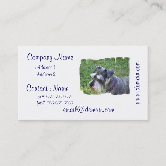 Cartes de visite de Schnauzer (Devant)