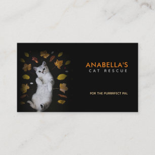 Cartes de visite de Slogans Secourus de chats