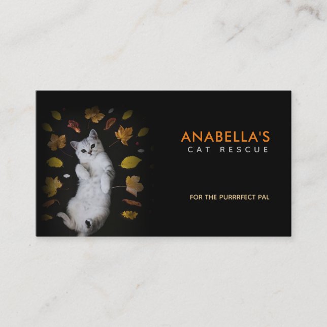 Cartes de visite de Slogans Secourus de chats (Devant)