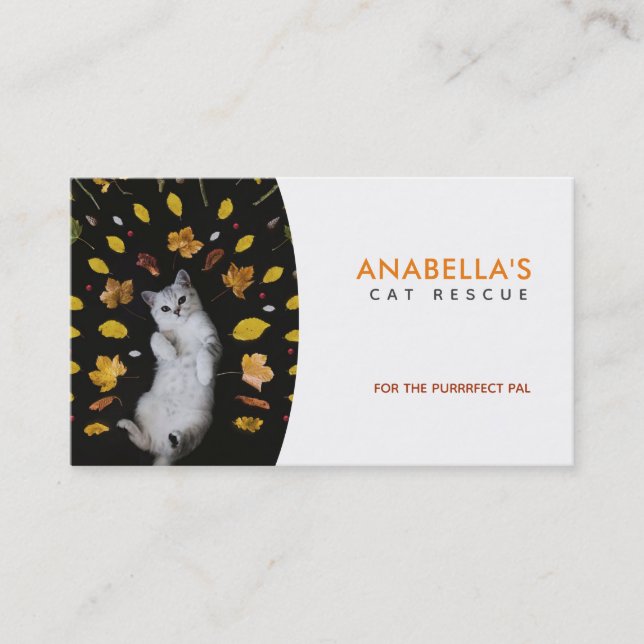 Cartes de visite de Slogans Secourus de chats (Devant)