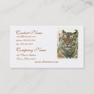 Cartes de visite de tigre de Sumatran