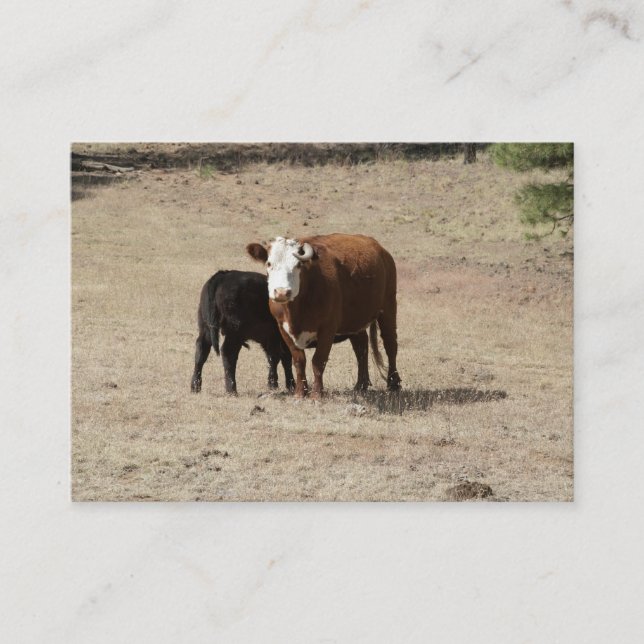 Cartes de visite de vache et de bébé (Devant)