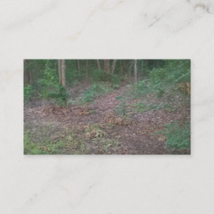 Cartes de visite de vert de nature d'arbres