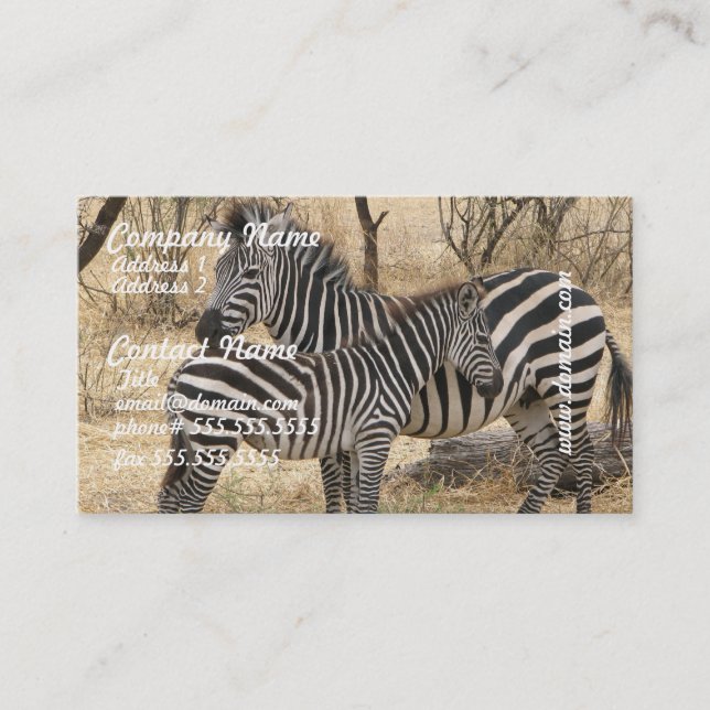Cartes de visite de zèbre de mère et de bébé (Devant)