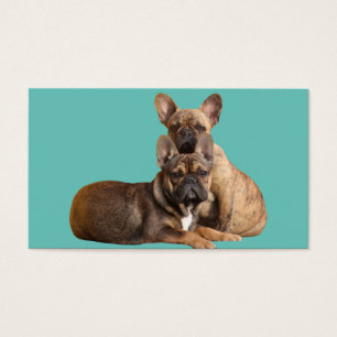 Cartes de visite des bulldogs français