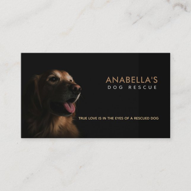 Cartes de visite des chiens Secourus (Devant)