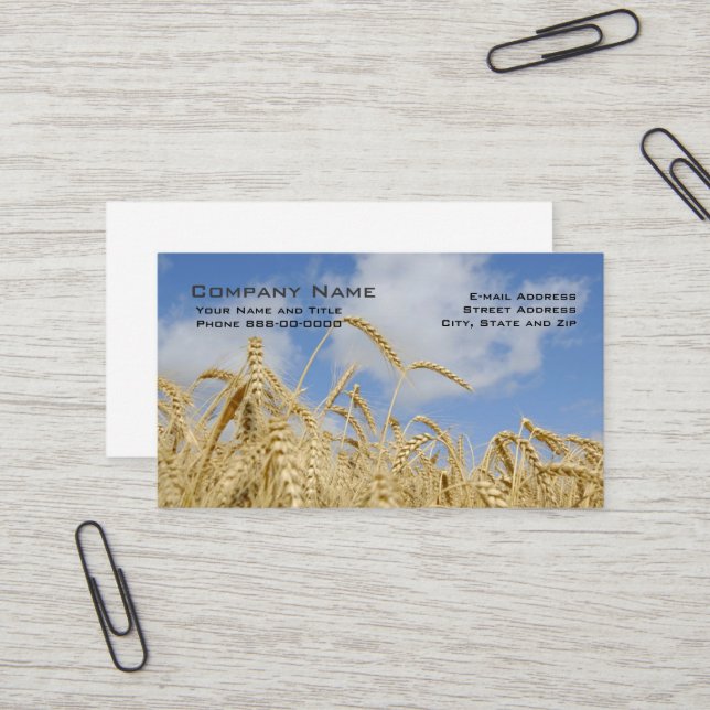 Cartes de visite des producteurs de blé (Devant/Arrière en situation)