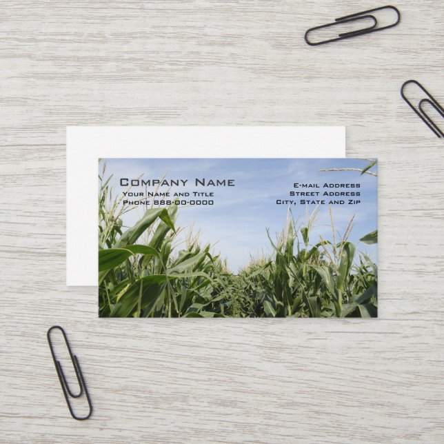 Cartes de visite des producteurs de maïs (Devant/Arrière en situation)