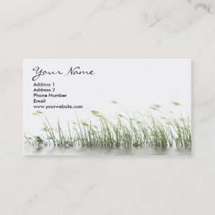 Cartes de visite d'herbe de marais