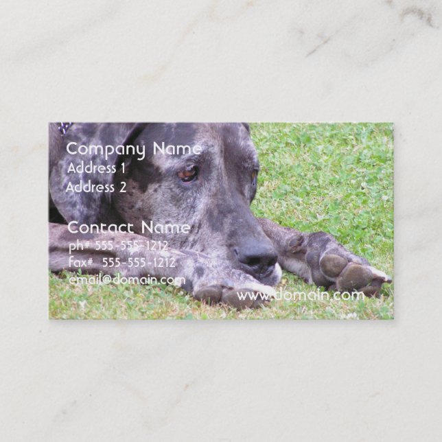 Cartes de visite doux de great dane (Devant)