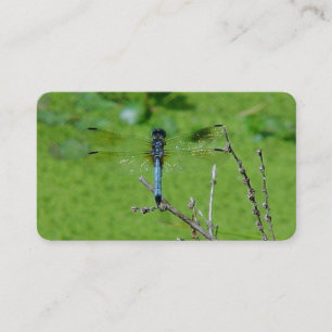 Cartes de visite du dragon