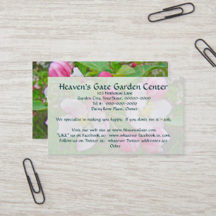 Cartes de visite du temps de floraison Apple