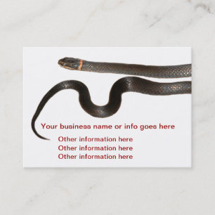 Cartes de visite étranglés de serpent d'anneau