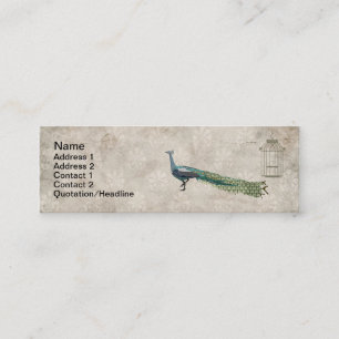 Cartes de visite fascinants de paon