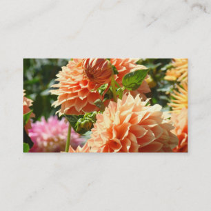 Cartes de visite Fleurs d'orange Dahlia Floral