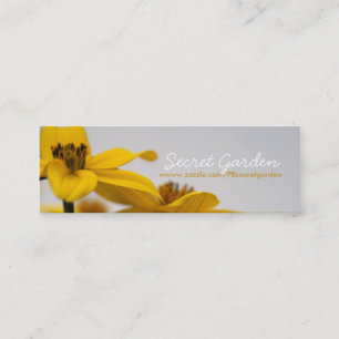 Cartes de visite floraux de photographie de Bidens