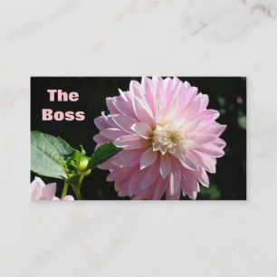 Cartes de visite humoristiques The Boss Fleurs de