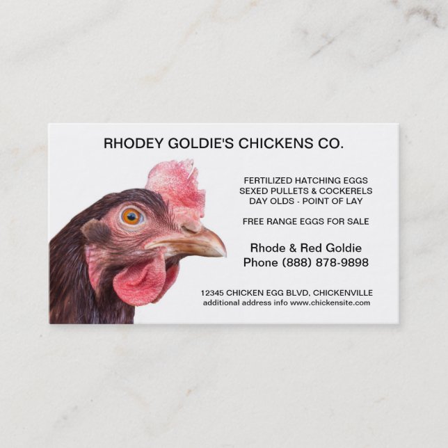 Cartes de visite incubation de poules pondeuses (Devant)