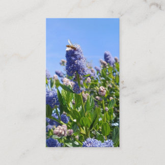 Cartes de visite lilas