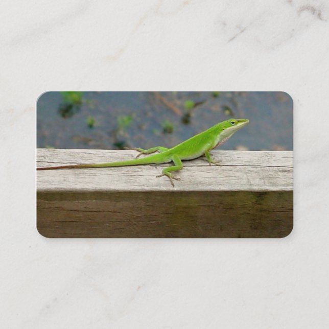 Cartes de visite Lizard (Devant)
