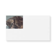 Cartes de visite magnétiques Dave (25 pack)