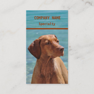Cartes de visite magyars de chien de Vizsla