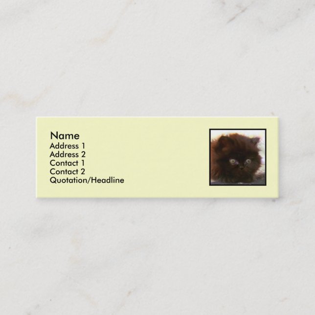 Cartes de visite maigres de chaton persan noir (Devant)