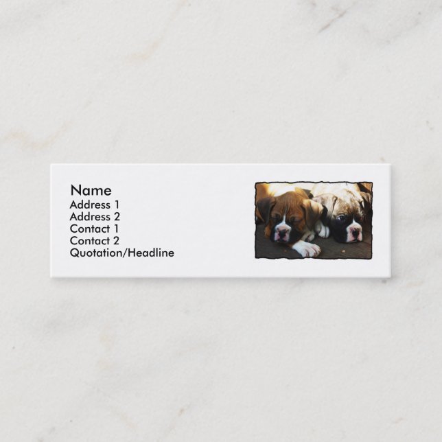Cartes de visite maigres de chiots de boxeur (Devant)