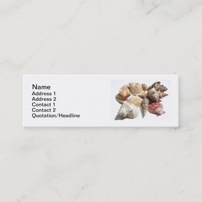 Cartes de visite maigres de coquillages (Devant)